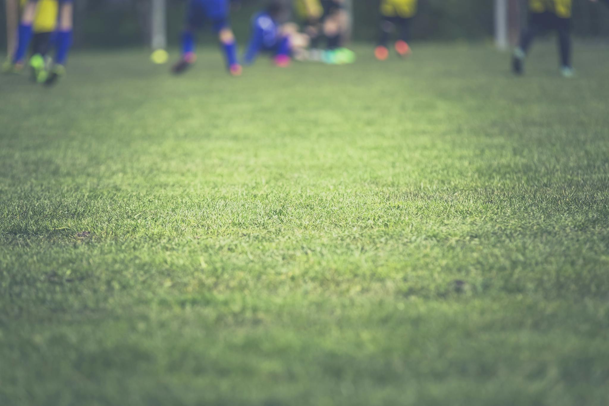 Free stock photo of field, football, game