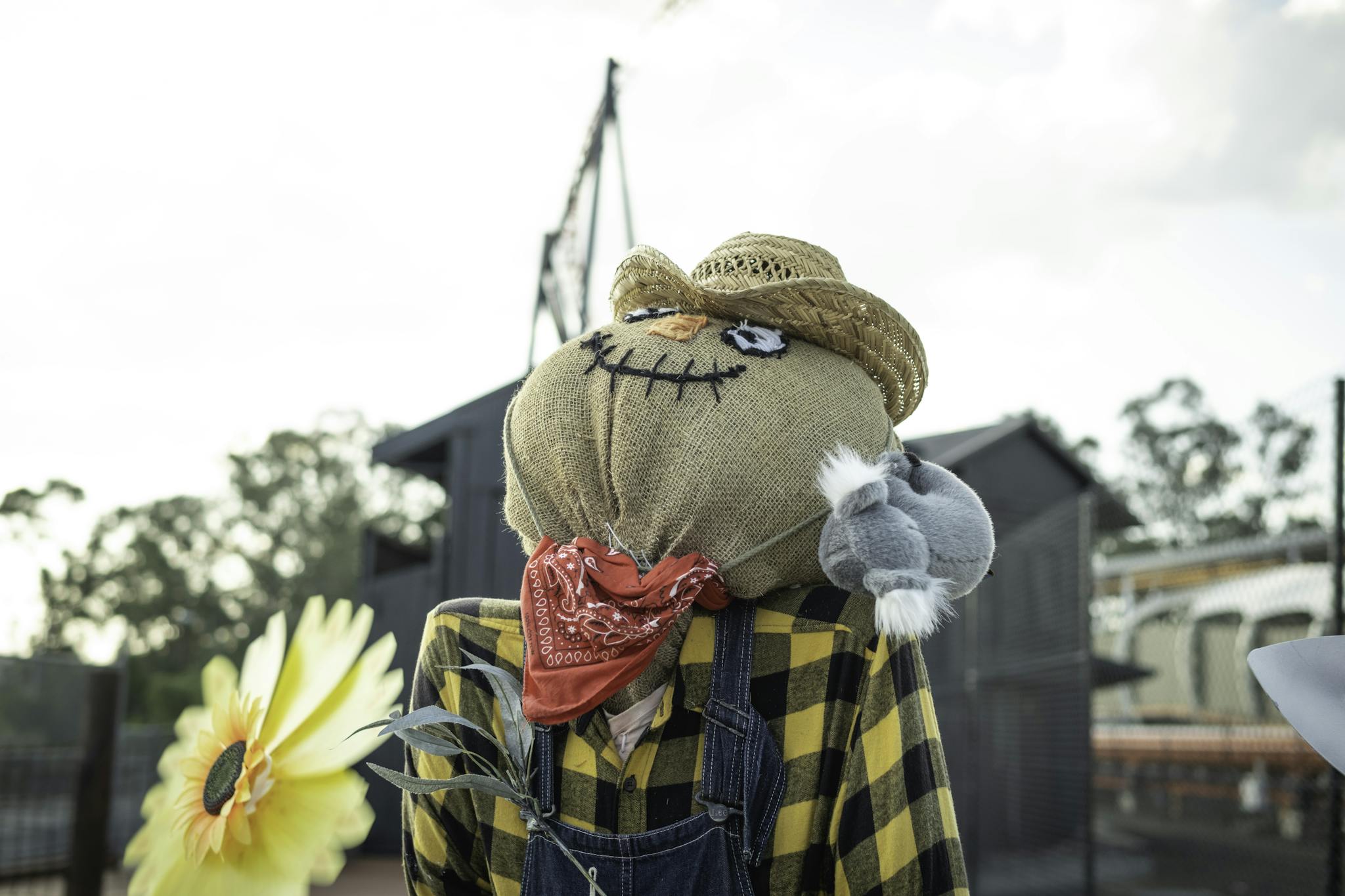 Scarecrow recycled materials