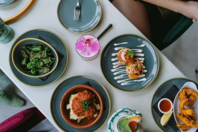 Top view of a beautifully set dining table with gourmet dishes and cocktails.