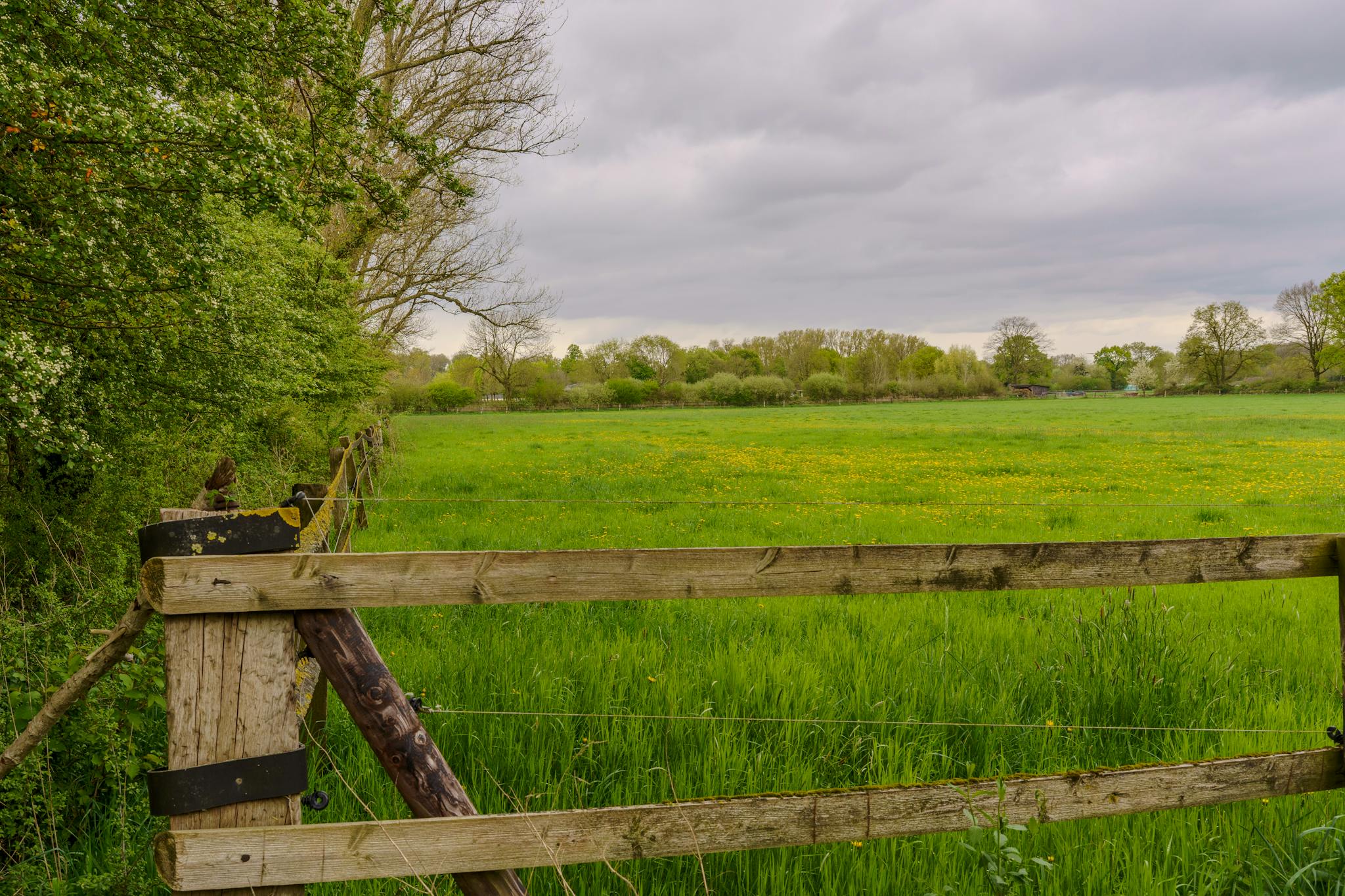A peaceful green meadow and rustic wooden fence under a cloudy spring sky.