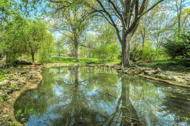 Explore a serene park setting with a calm pond reflecting towering trees during a bright summer day.