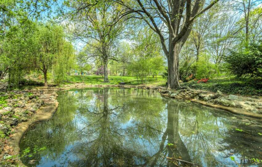 Explore a serene park setting with a calm pond reflecting towering trees during a bright summer day.
