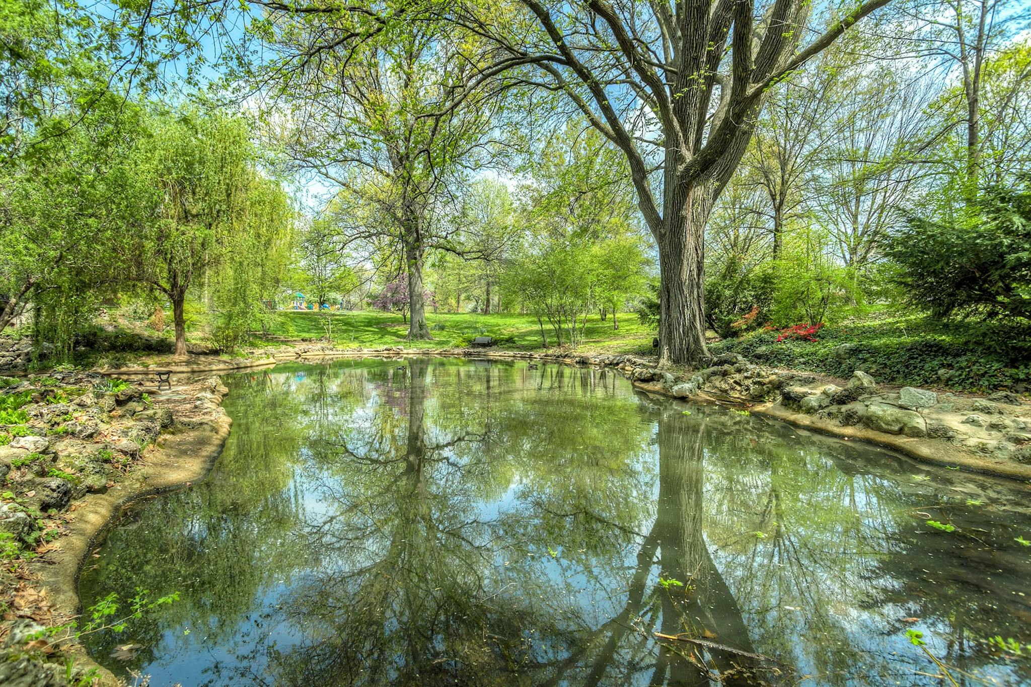 Explore a serene park setting with a calm pond reflecting towering trees during a bright summer day.