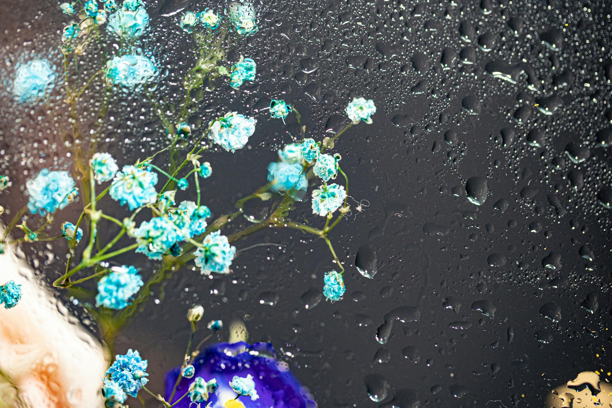 Close-up of delicate blue flowers behind rain-dotted glass, evoking a sense of calm and beauty.