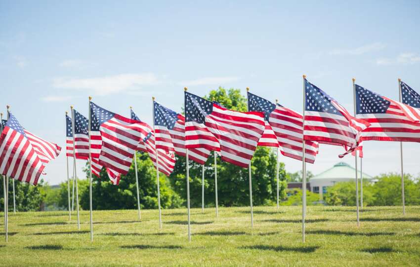 Rows of American flags flutter in the sunlit lawn, creating a patriotic display.