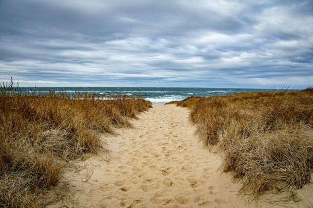 Tranquil sandy footpath leading to the ocean in Provincetown, Massachusetts.