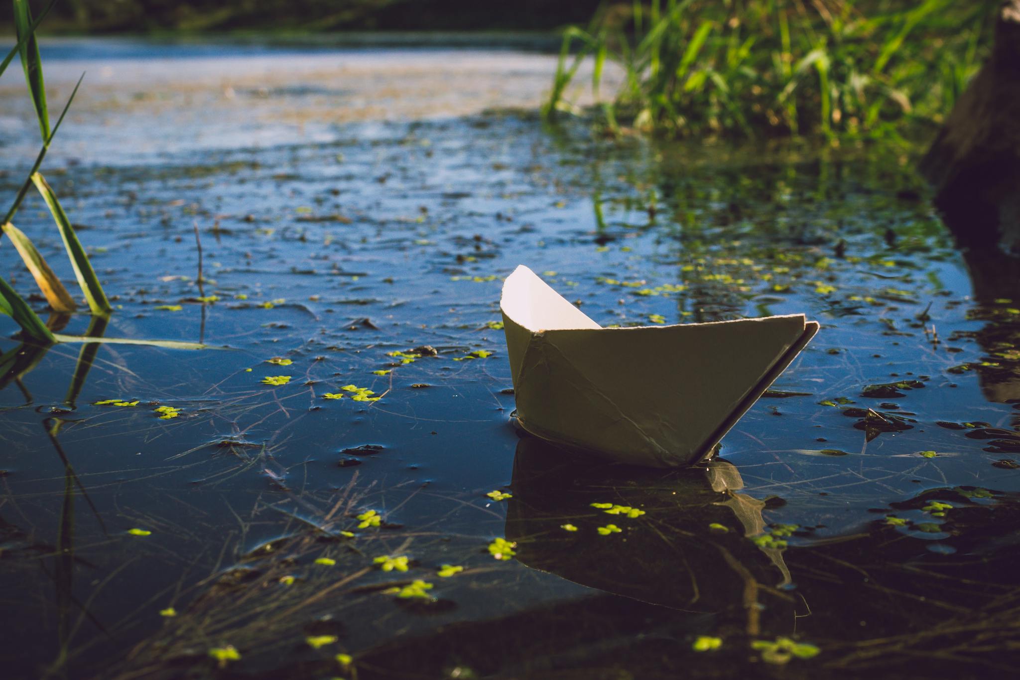 A serene paper boat softly floats on a calm lake, surrounded by nature.
