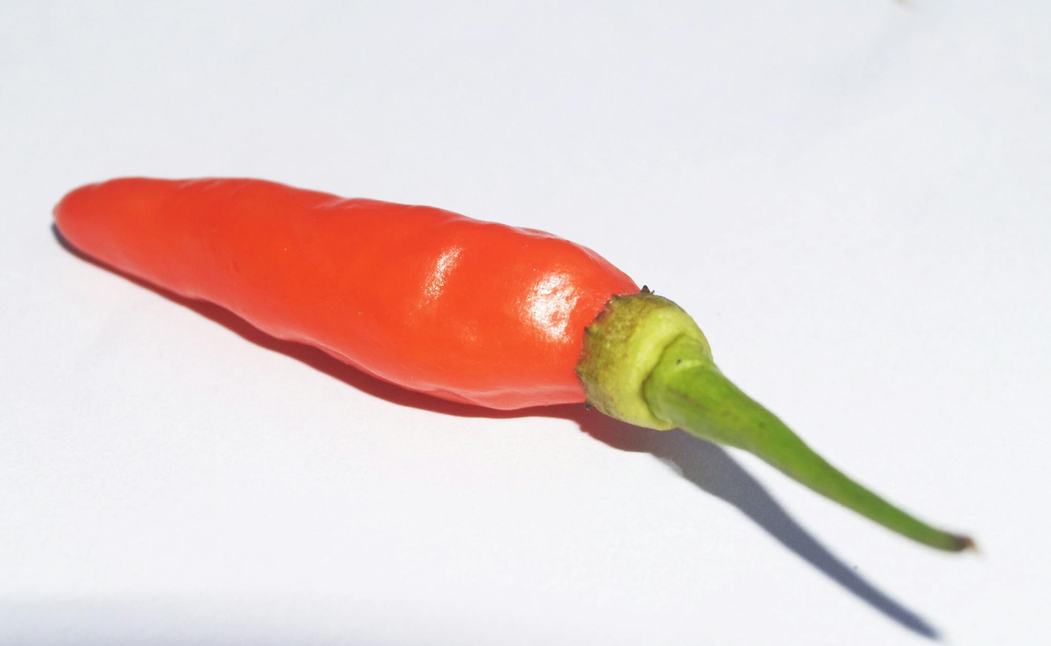 Vibrant red chili pepper in close-up, showcasing freshness and spicy flavor.