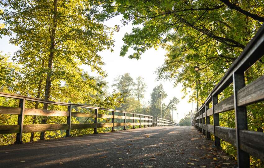Peaceful morning view of a wooden pathway surrounded by lush greenery in Eugene, OR.