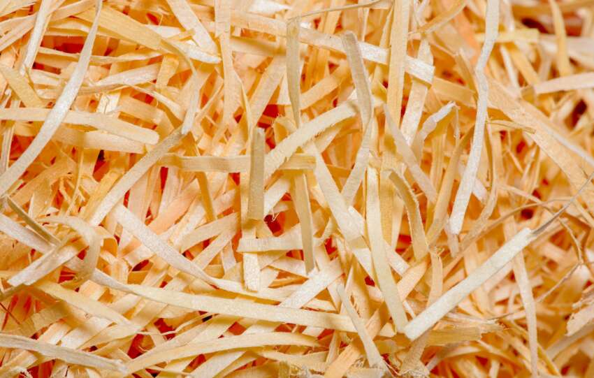 Detailed close-up image showing the texture and patterns of shredded paper mixed with a warm orange hue.