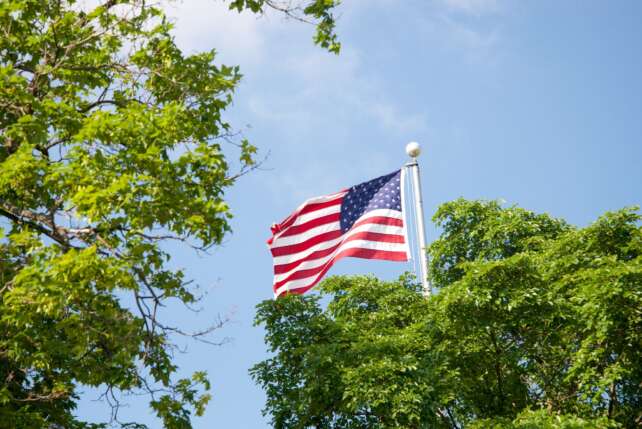 Vibrant American flag waving amidst lush green trees with a clear blue sky background.