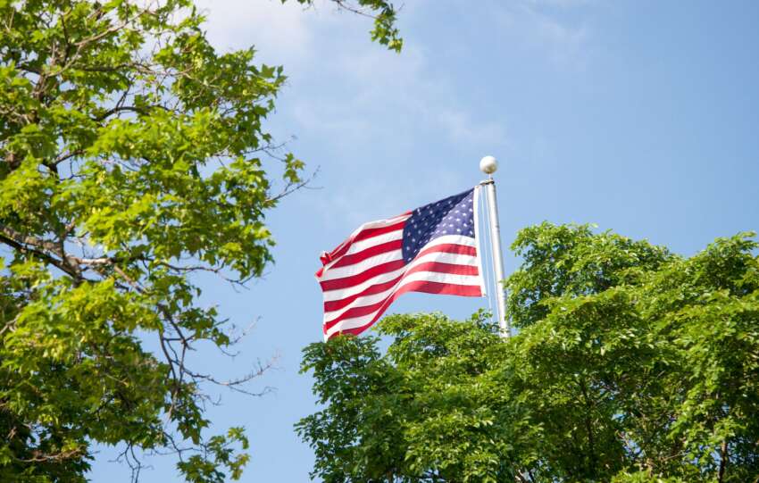 Vibrant American flag waving amidst lush green trees with a clear blue sky background.