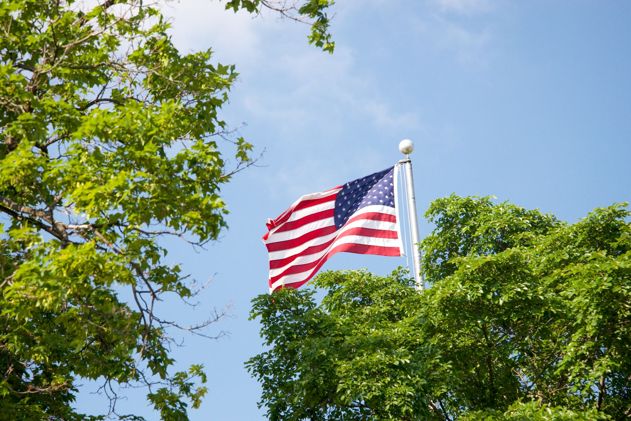Vibrant American flag waving amidst lush green trees with a clear blue sky background.