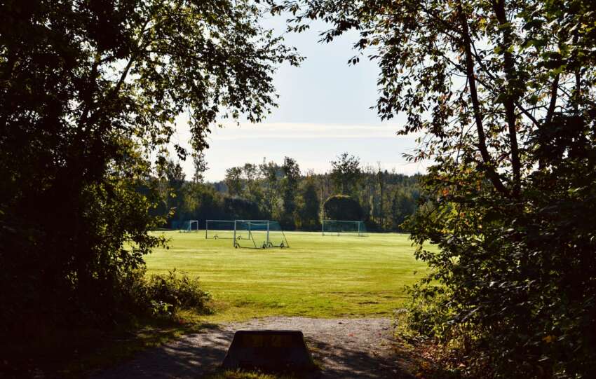 A tranquil soccer field is framed by trees on a sunny day, offering a picturesque view.