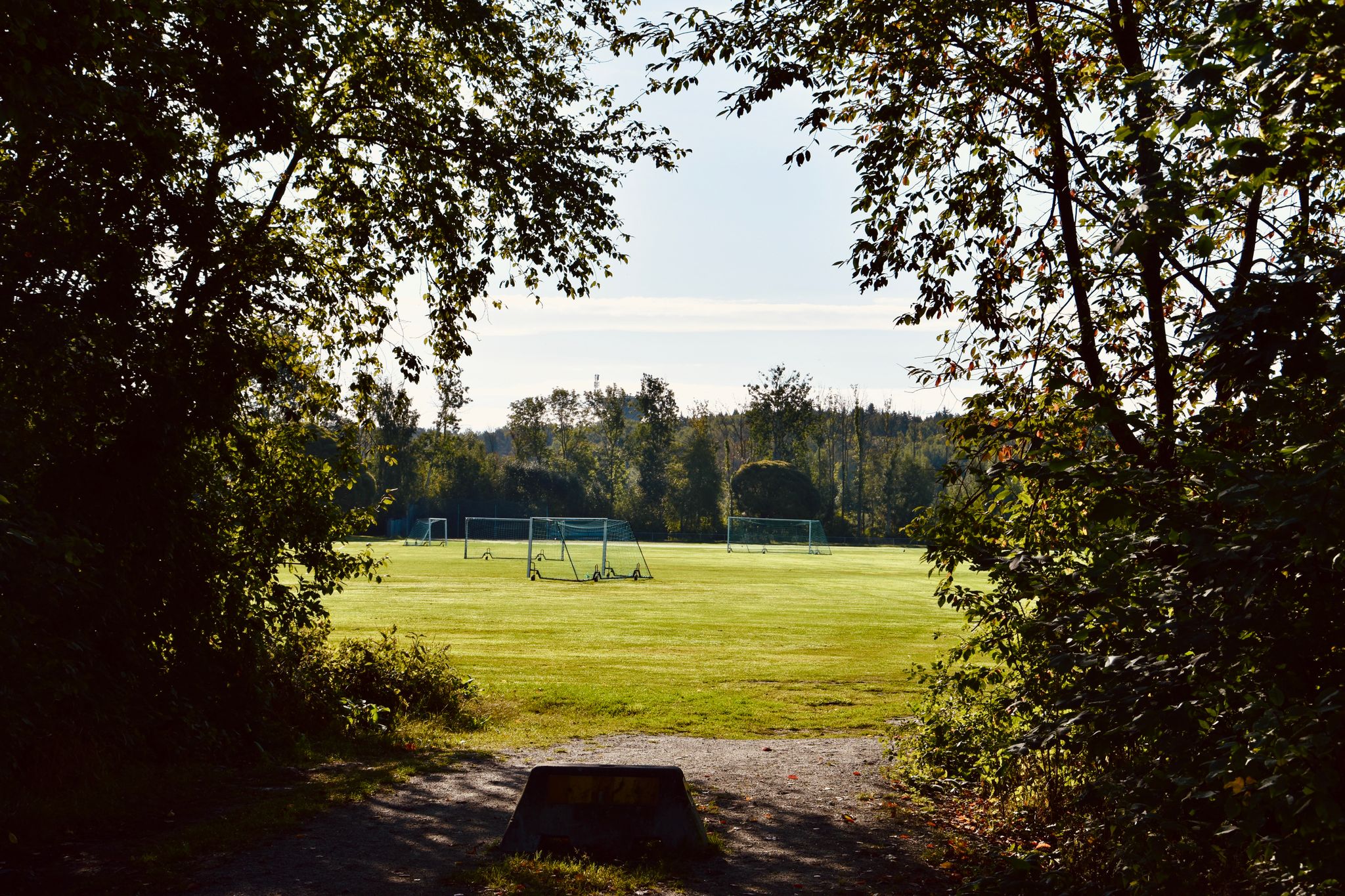A tranquil soccer field is framed by trees on a sunny day, offering a picturesque view.