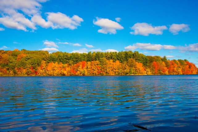 Bright autumn colors reflecting on a serene lake in Southborough, Massachusetts.