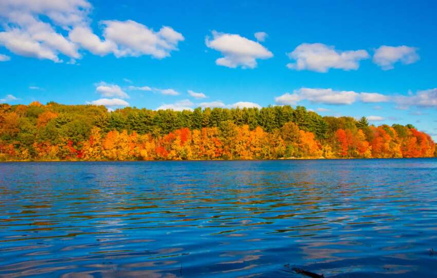 Bright autumn colors reflecting on a serene lake in Southborough, Massachusetts.