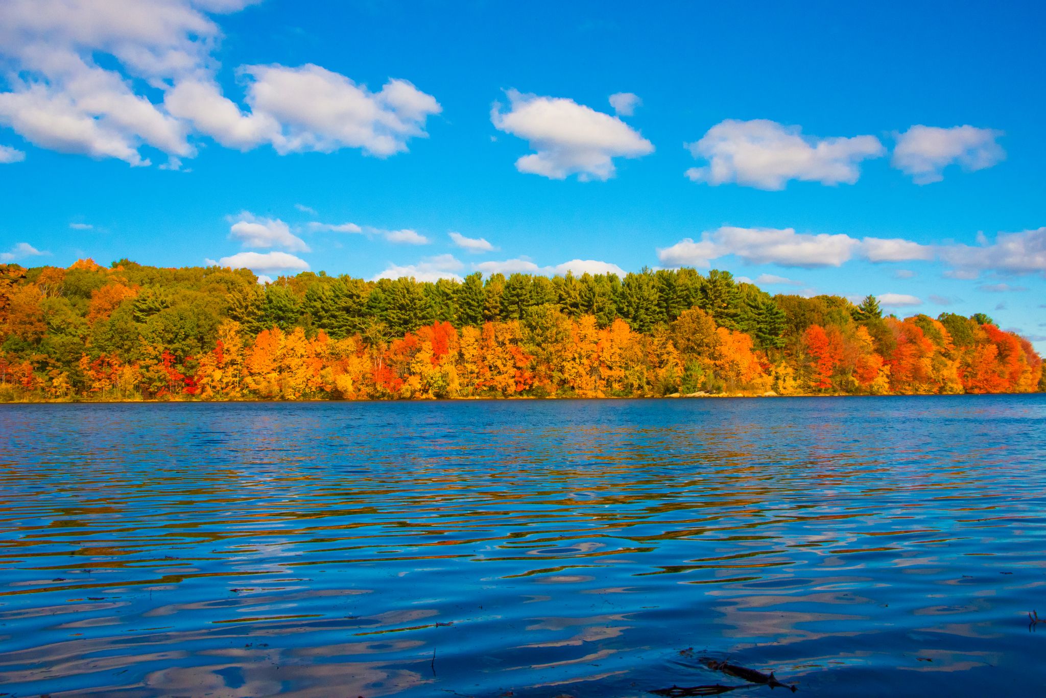 Bright autumn colors reflecting on a serene lake in Southborough, Massachusetts.